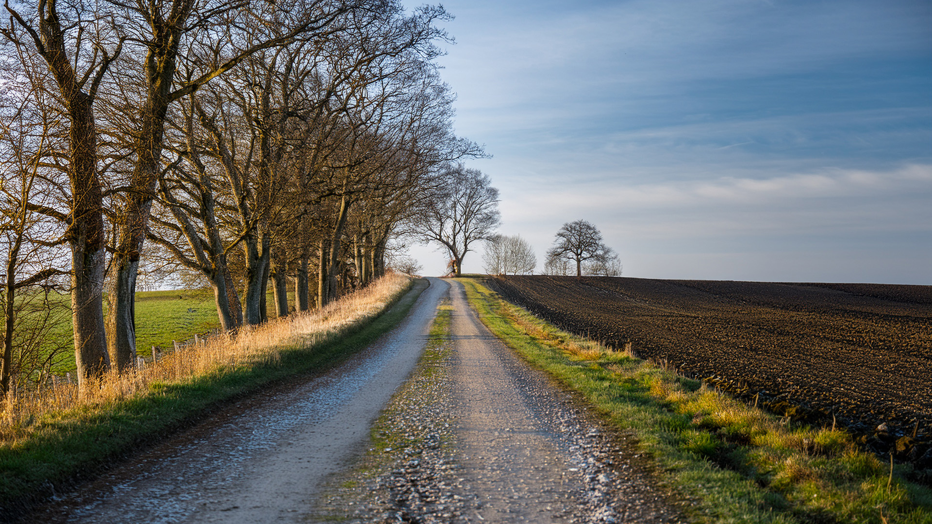 All thoughts worth having begin on foot