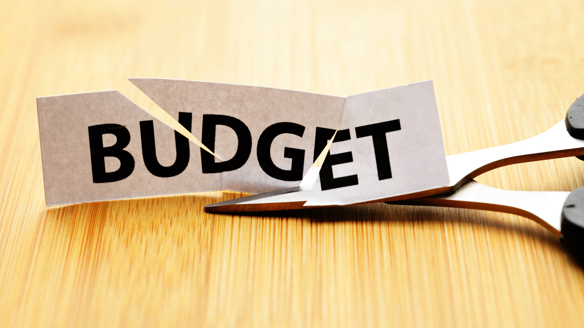 The small business video paradox